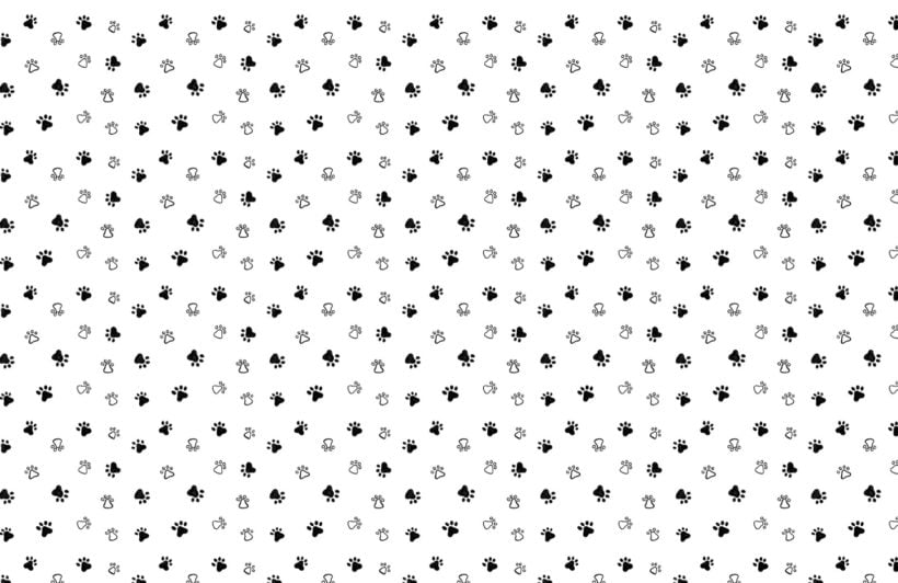Gray & White Dog Paw Print Wallpaper