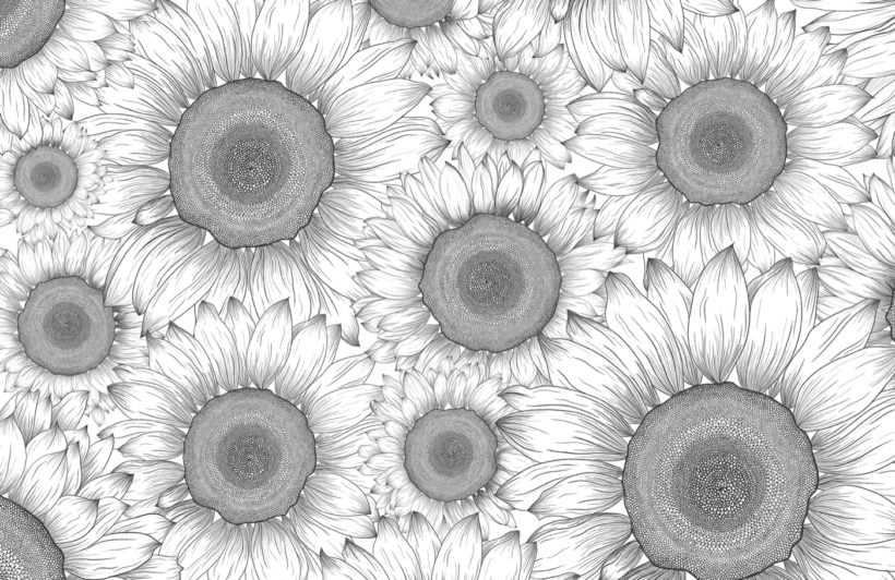 Black And White Illustrated Sunflower Floral Wallpaper Mural